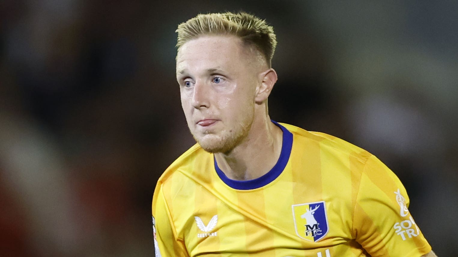 除此之外 除此之外