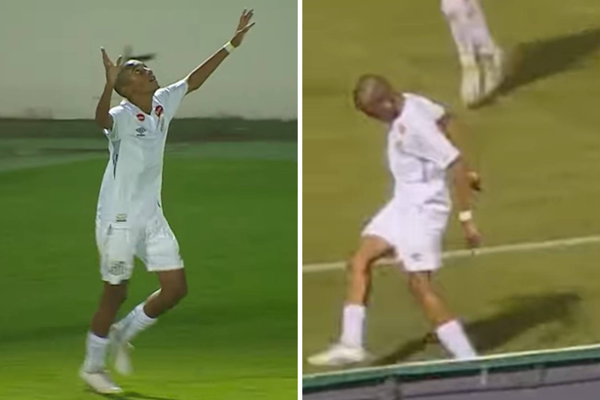 供了可贵的 供了可贵的