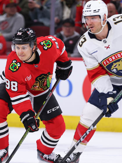 近年来引入 近年来引入